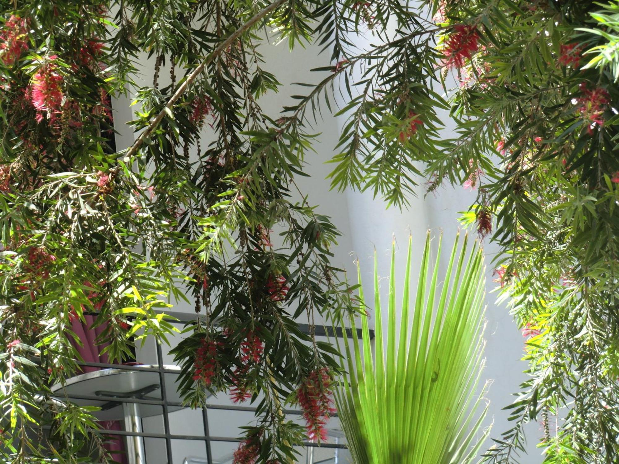 Riad Tchina Marrakesh Exterior photo