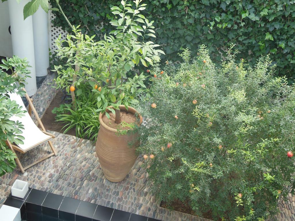 Riad Tchina Marrakesh Exterior photo